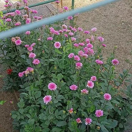 Tatil Evi Da Ange E Bru Sestri Levante