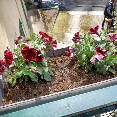 Tatil Evi Da Ange E Bru Sestri Levante