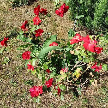 Da Ange E Bru 別荘