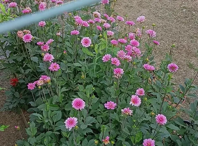 Сasa de vacaciones Da Ange E Bru Sestri Levante