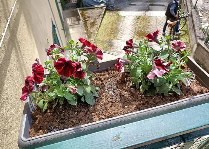 Сasa de vacaciones Da Ange E Bru Sestri Levante