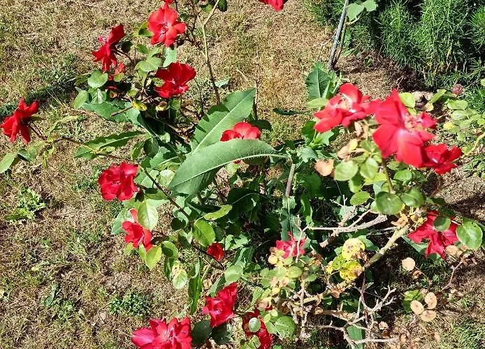 Da Ange E Bru Сasa de vacaciones