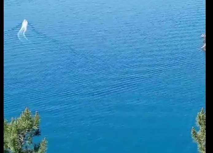 Da Ange E Bru Сasa de vacaciones